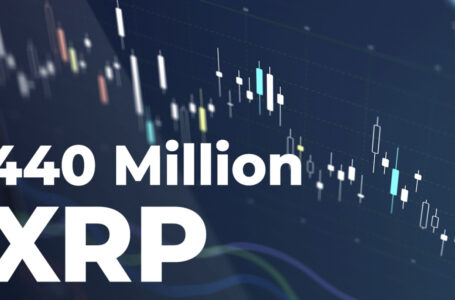 440 Million XRP Wired by Major Players with 225 Million Shifted in Single Lump
