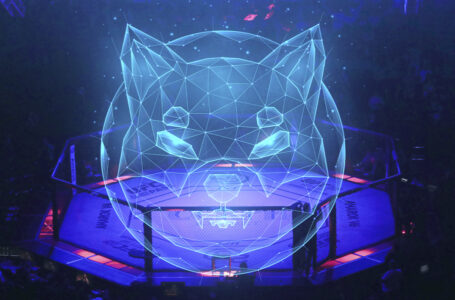 Shiba Inu to See Investment from Former UFC Light-Heavyweight Champion: Details