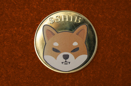 103.2 Million SHIB Burned in Single Transfer by This Company: Details