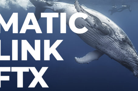 Top ETH Whales Grab MATIC, LINK, FTX as Market Remains in Decline