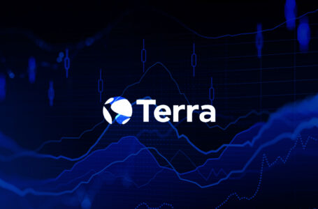 Terra (LUNA) Unobvious Opportunities Indicated by Analyst