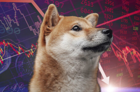 Shiba Inu Drops Below Dogecoin and AVAX on List of Top Coins and Tokens by Market Capitalization