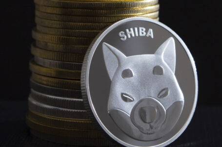 Shiba Inu (SHIB) Fully Retraces Late-October Rally