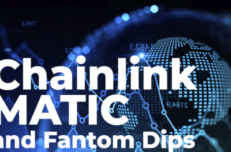 Large Investors Purchase Chainlink, MATIC and Fantom Dips as Altcoin Prices Rebound