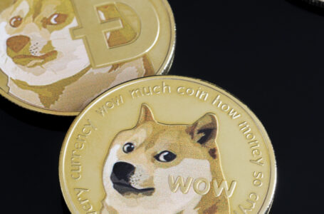 407.4 Million DOGE Shifted Between Anonymous Wallets