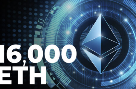 More Than 16,000 ETH Bought in Last Hour: Details
