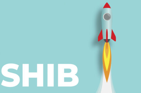 Here’s How Much More SHIB Must Be Burned for Price to Soar: Shib Community