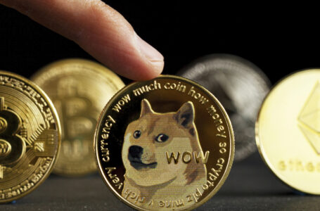 Dogecoin Is Now Leading Altcoin Market Rally With 12% in Last 24 Hours