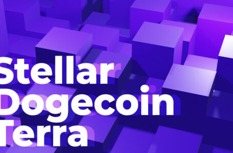 Stellar, Dogecoin and Terra LUNA on the Rise as Altcoin Market Recovers