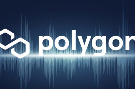 Polygon (MATIC) Network Activity Spikes to Record-Breaking Numbers, Here’s Why