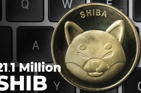 21.1 Million SHIB Burned in Past 24 Hours, While New SHIB Burn Site Kicks Off