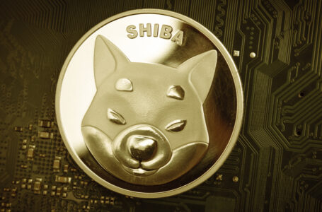 Shiba Inu Becomes One of Most-Purchased Tokens by Ethereum Whales, as On-Chain Data Reports