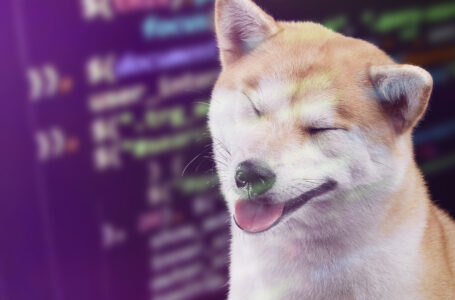 Shiba Inu Dev Teases Big Idea That Might Shake Crypto Space as SHIB Price Settles