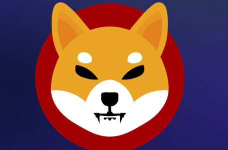 SHIB Devs Working on New Token Burn Mechanisms