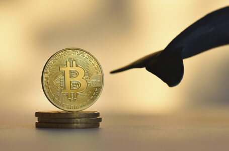 Bitcoin Whales Bought Extra 40,000 Tokens Before Bounce Past $42K
