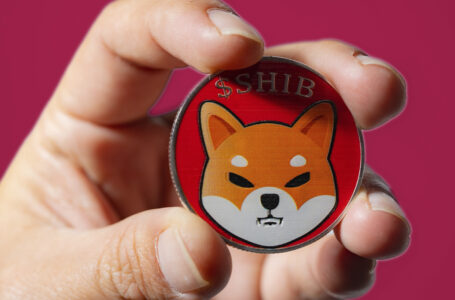 SHIB Plunges 27%; Burning Another 75.8 Million Tokens Doesn’t Help Price Hold