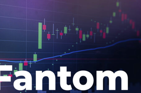 Fantom Finally Surpasses Avalanche by TVL, Who’s Next?