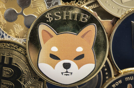 Shiba Inu Comes Closer to Becoming Biggest Holding on Whale Addresses After 16% Price Increase
