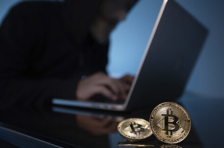 Anonymous Bitcoin Whale Adds 488 BTC During Market Dip, Balance Total at 124,487 Coins