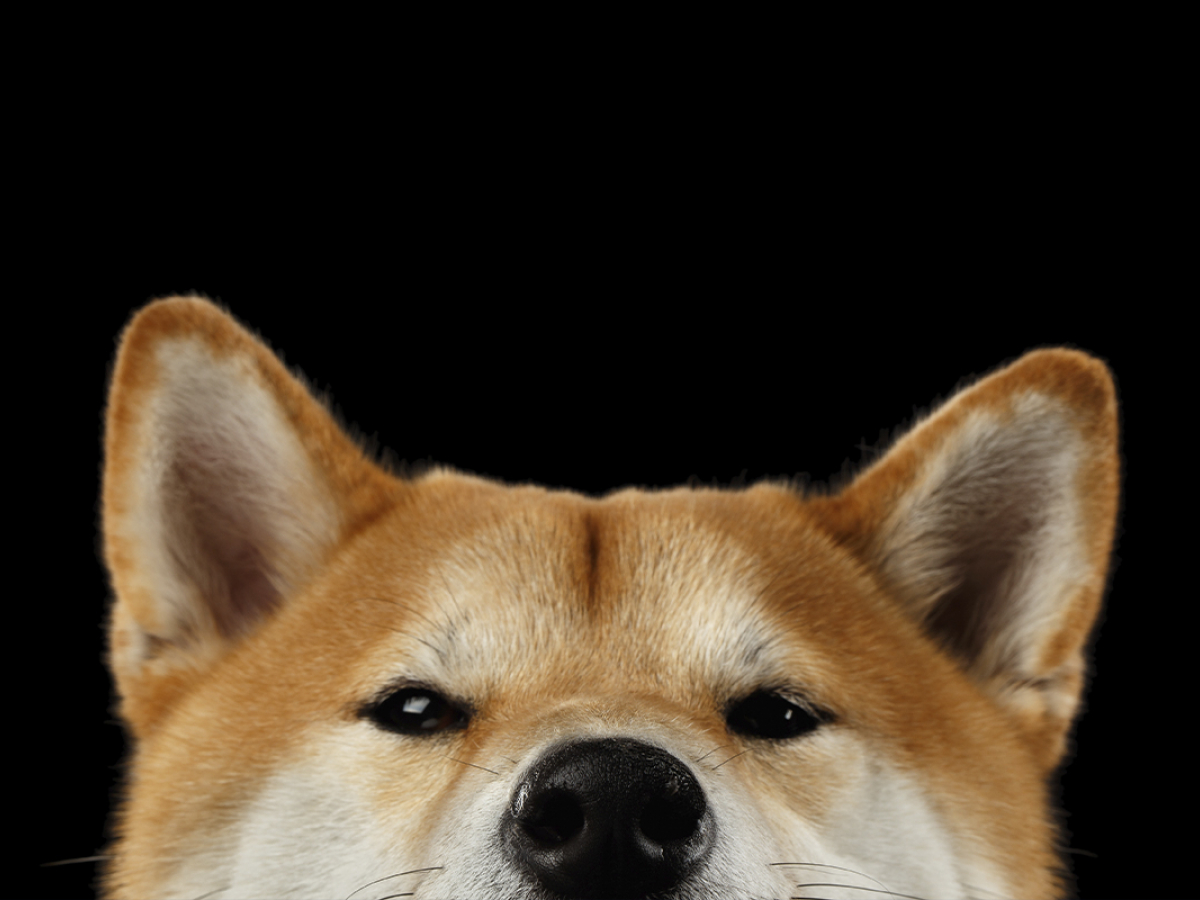 SHIB