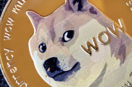 Businesses Accepting Doge Can Be Achieved as Follows: Dogecoin Cofounder