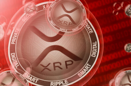 445 Million XRP Moved by Ripple and Anon Whale as XRP Price Expected to Spike in April 2022