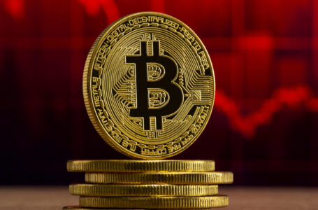 2022 Could Be Tough Year for Crypto, Says MAI Capital’s Chris Grisanti