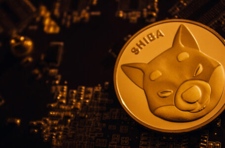 Shiba Inu Enters the Metaverse as SHIB Price Recovers from Intraday Low