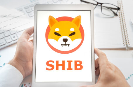 6.5 Billion SHIB Added by Crypto Whales to Their Holdings Within One Hour