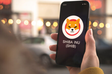 Top ETH Whales Hold 52 Billion SHIB On Average as SHIB Remains 2d Biggest Coin Held by Top 1,000 ETH Wallets