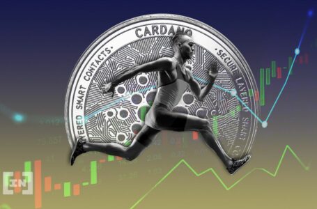 Cardano Blockchain Congestion at An All-Time High