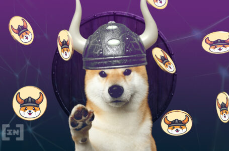 Can Floki Inu (FLOKI) Flip Shiba Inu (SHIB)? ‘That’s the Goal’ Says Team Lead
