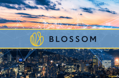 VC Firm Blossom Capital Raises $432M to Invest in the Cryptocurrency Ecosystem