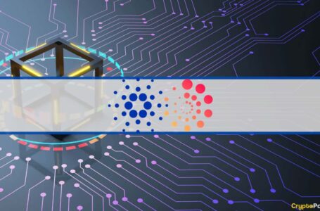 The Cardano Foundation Partners with EMURGO to Develop New dApps