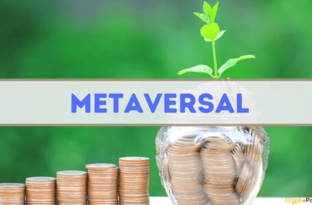 NFT-Focused Metaversal Lands $50 Million in Funding Led By CoinFund