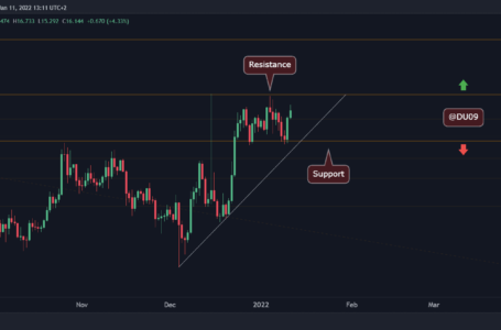 Near Protocol Price Analysis: NEAR Rallies 20% Defying the Overall Market