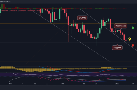 SHIB Down to 65% Below ATH Levels, Here is the Key Support to Watch (Shiba Inu Price Analysis)