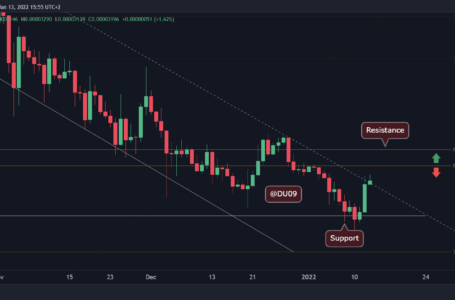 Shiba Inu Price Analysis: SHIB Surges 20% Following the Test of Important Support, What’s Next?