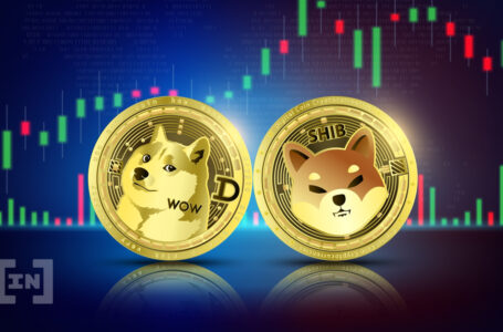 Dogecoin (DOGE) & Shiba Inu (SHIB) Face ‘Purge’ as Hawkish Fed Action Rattles Markets – Bloomberg Analystx