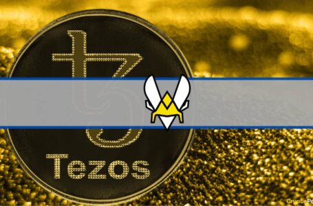 Esports Team Vitality Taps Tezos for Fan Engagement Initiatives