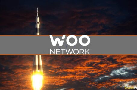 WOO Network (WOO) Soars 25% as Binance Labs Announces $12M Investment