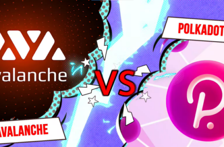 Avalanche vs Polkadot: Things You Need To Know