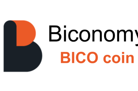 What Is Biconomy (BICO)? Is Worth Investing?