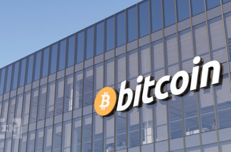 Good Medium Term Outlook for Bitcoin, Says Bitfury CEO