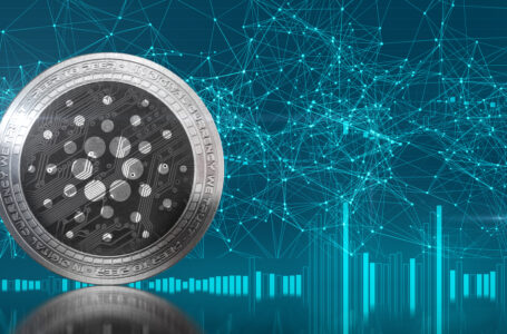Cardano Leads Pack With Most Developer Activity in 2021