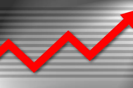 Here’s how much money you’d have if you invested $1,000 in 4 of the top cryptocurrencies this year