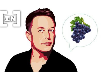 Grape: Musk’s Rando Tweet about the Fruit Jacked up the Price of the GRAPE Token