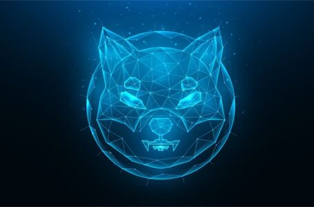 Shiba Inu Project Reveals ‘Doggy DAO,’ Devs Say Phase 1 to Provide ‘Immediate Power to the SHIB Army’