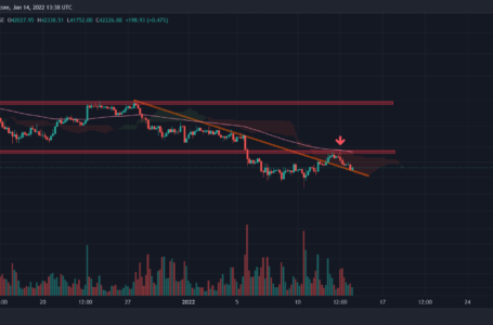 Bitcoin Price Analysis: Another Test of $44K – $45K Resistance Incoming for BTC?