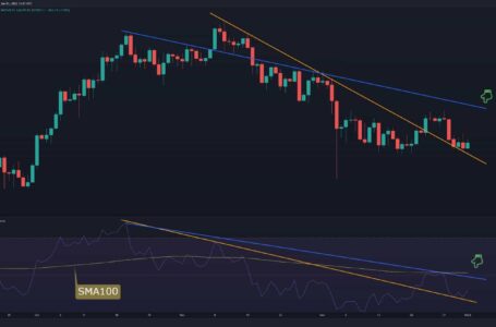 Bitcoin Price Analysis: Despite Recent Dip, Some Good News for The Bulls